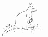 Wallaby Coloring Bennett sketch template
