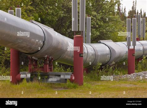 Thompson Pass Alaska Usa The Trans Alaska Pipeline System Also