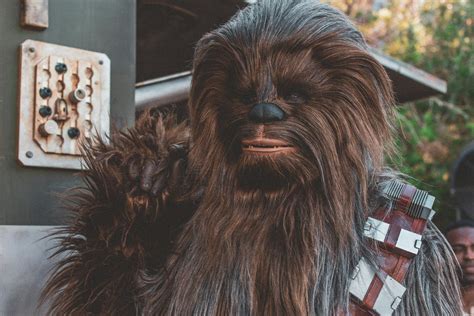Chewbacca Of Star Wars · Free Stock Photo