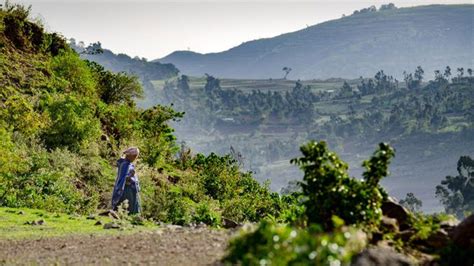 The ‘sacred Forests Of Northern Ethiopia Bbc Travel