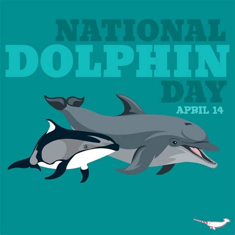 April 14 Is National Dolphin Day Writing Services Dolphins Pet Day