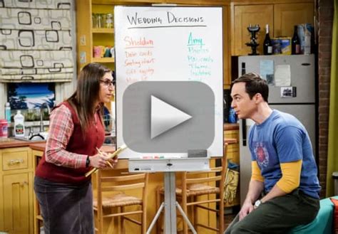 Watch The Big Bang Theory Online Season 11 Episode 10 Tv Fanatic