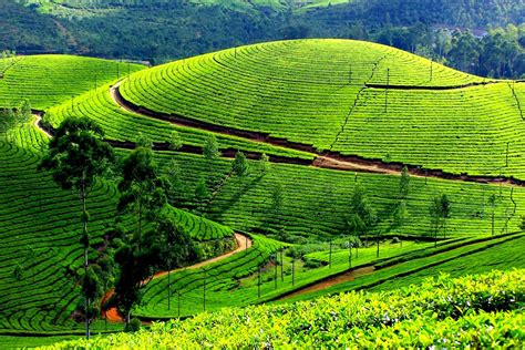 Munnar Is One Of The Most Visited Tourist Places In India Among Us