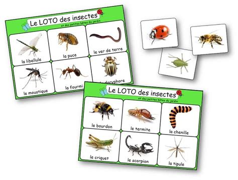 Le Loto Des Insectes Et Des Petites Bêtes Du Jardin Loto Insectes à