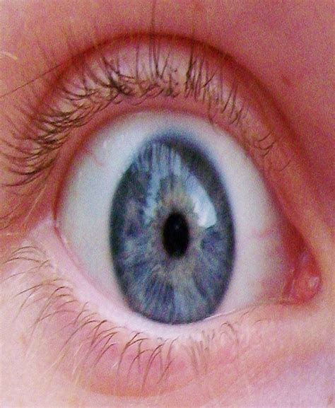 Eye Free Stock Photo - Public Domain Pictures