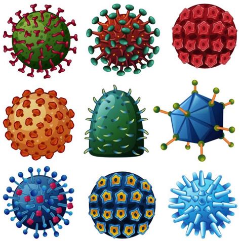 Virus e batteri sono microrganismi unicellulari, cioè organismi composti da una sola cellula, aventi virus e batteri: Diversi tipi di virus in cerchio — Vettoriali Stock ...