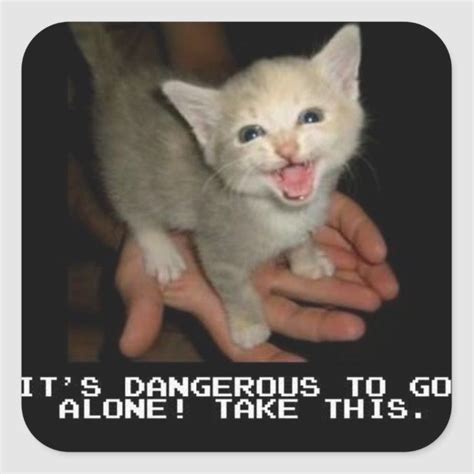 Its Dangerous To Go Alone Stickers In 2022 Funny Cat