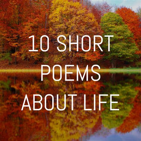 10 Short Poems About Life Love And The End Lizella Prescott