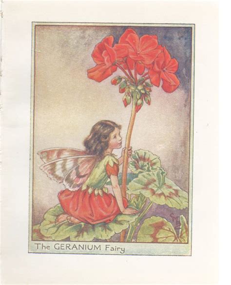 Flower Fairies The Geranium Fairy Vintage Print C1930 By Etsy Denmark