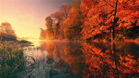 2560x1440 Trees Fall Reflection Autumn 4k 1440p Resolution