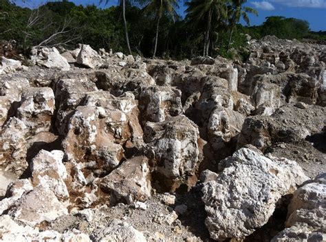 Naurus Phosphate Mines Alluring World