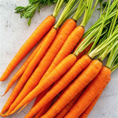 Carrot Ampimex