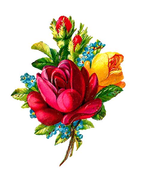 Antique Images Digital Red Rose Clip Art Flower Download Botanical Artwork