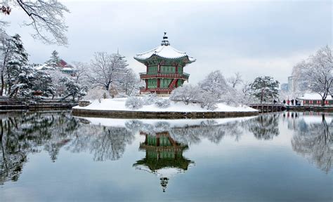 At the main entrance, over 80. 19 Of The Best Winter Activities In Korea | 10 Magazine Korea