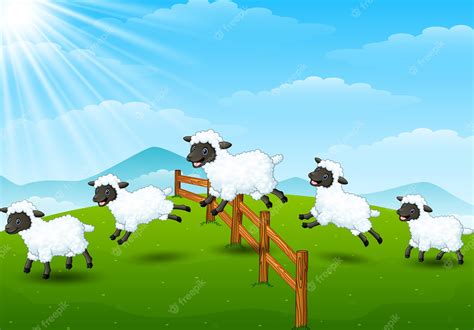 Premium Vector Cute Cartoon Sheep Collection Set In Field Background