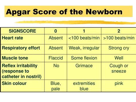 What Is Apgar Score Birth