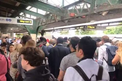 Tfl Northern Line Delays Transport Chaos As Line Is Part Suspended In
