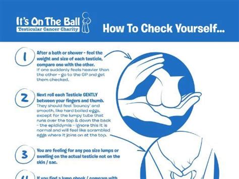 Testicular Cancer How To Check Yourself Teaching Resources