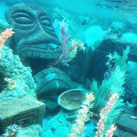 Yesterdays Tiki Sighting Tiki Underwater Findingnemo