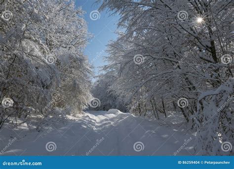 Winter Tunnel Stock Photo Image Of Blue Shadow Background 86259404