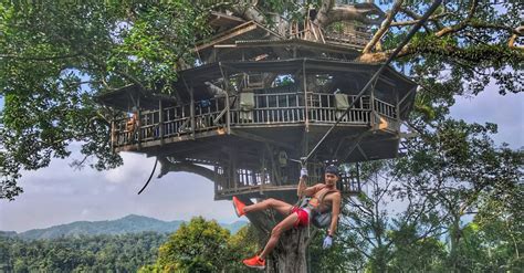 10 Most Incredible Tree House Hotels In The World