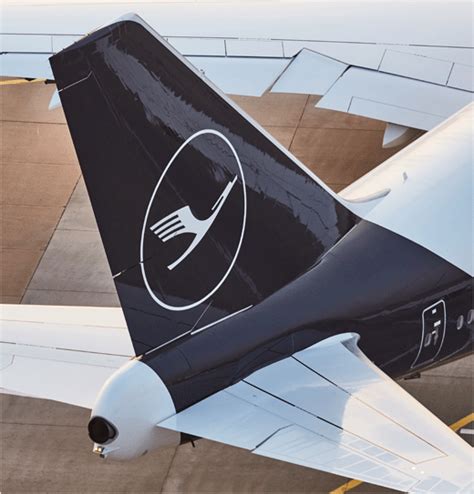 Lufthansa Reveals New Logo And Branding Logo Designer Logo Designer