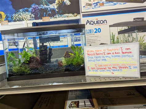 Went to Petco today and found this… I brought up all the issues I could