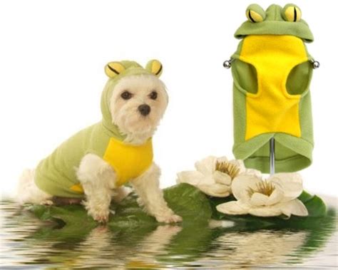 15 Cool Dog Halloween Costume Ideas Shelterness