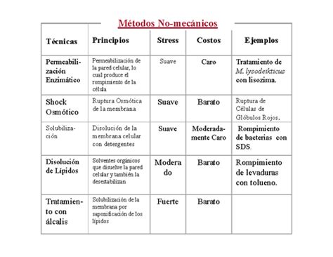 Diferencia Entre Pared Celular Y Membrana Plasmatica Consejos Celulares