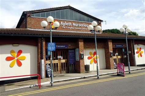 Fertile ground whatever your garden design needs. Garden centre profile: Aylett Nurseries, St Albans ...