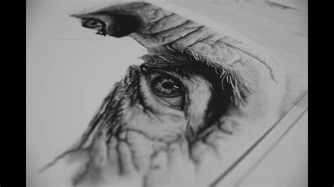 25 Awesome Pencil Sketch Drawing