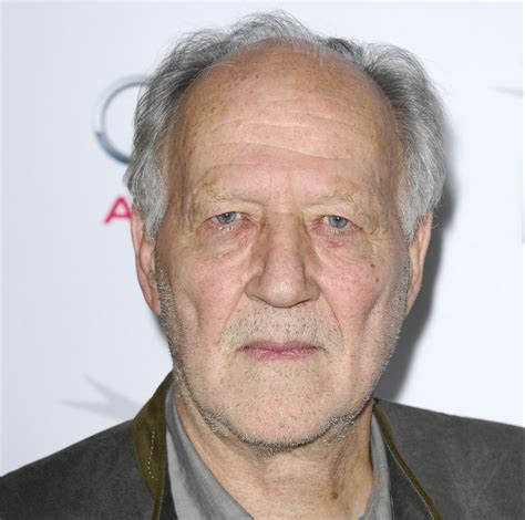 Werner Herzog Interview Making A Living And Teaching Filmmaking