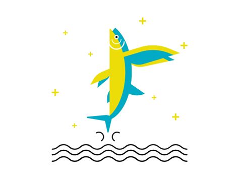 F Like Flying Fish By Laura Lonni On Dribbble