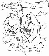 Manna Heaven Moses Bread Coloring Exodus Given Lord Eat Said Them sketch template