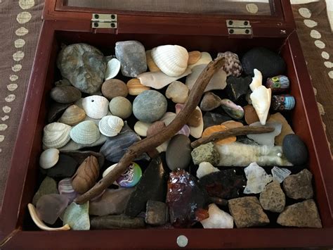 Empty Your Rock Collecting Box To Show Off Your Rock Collection Rock