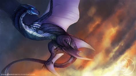 To The Sky T Black Dragon Dragon Art Dragon