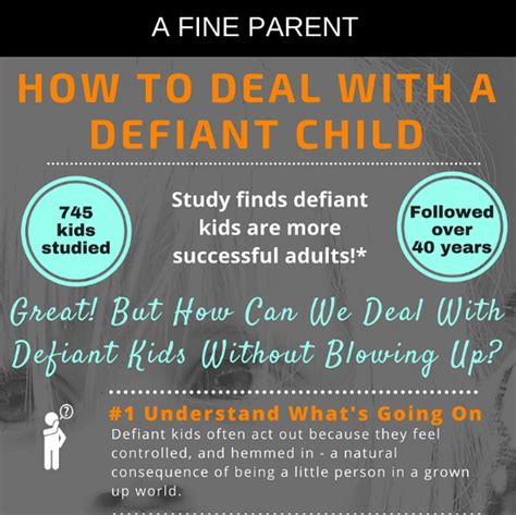 How To Deal With A Defiant Child Infographic Huffpost