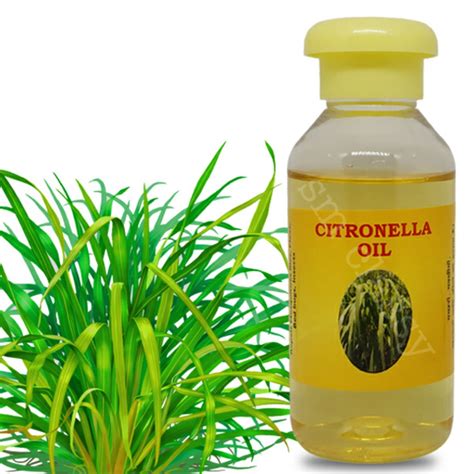 Natural Citronella Oil Sm Classy