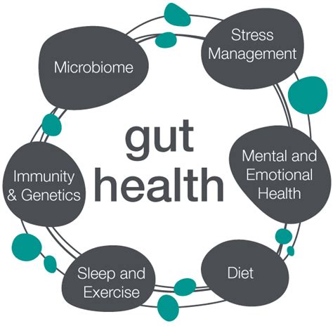 Know About Your Gut Health Part 2 Goqii