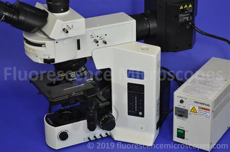 Fluorescence Microscopes Olympus Bx51 Upright Fluorescence Microscope