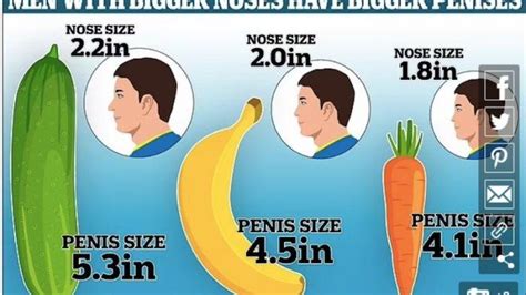 Penelitian Terbaru Semakin Besar Hidung Menunjukan Ukuran Alat Vital Pria Lebih Panjang
