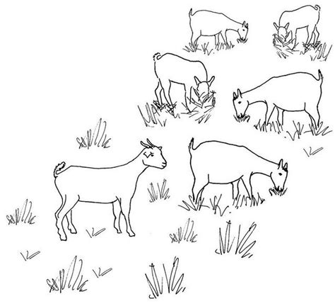 Line Drawing Of A Grazing Goat Herd Coloring Pages Drawings Goat Art
