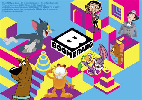 Boomerang Lands In South Korea Tbi Vision