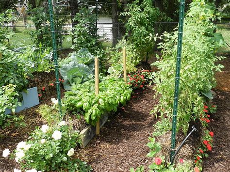 Straw Bale Gardens Ecoyards
