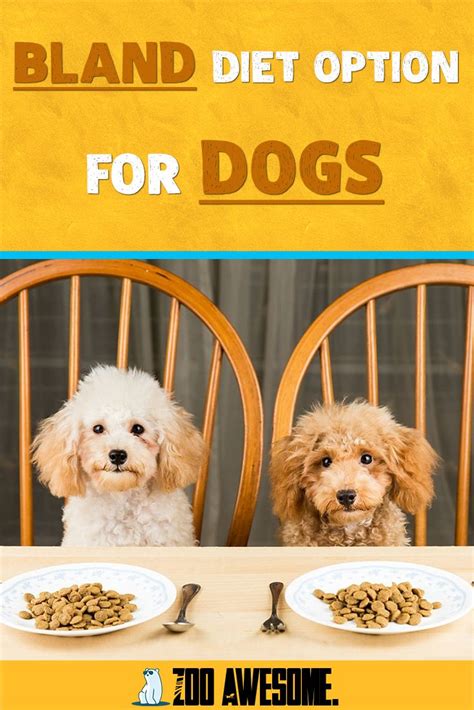 Many spices are too hot and spicy for an. Bland Diet Option For Dogs (WHAT YOU NEED TO KNOW in 2020 ...