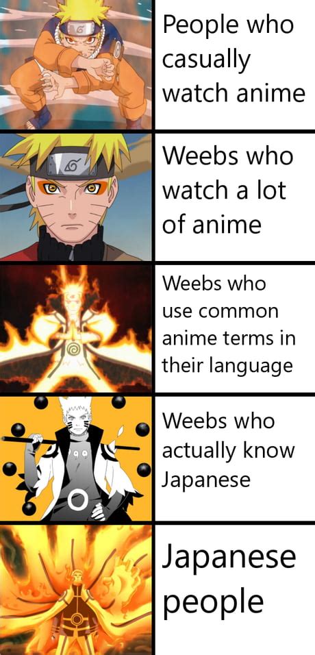 Discover More Than 70 Anime Weeb Memes Best Vn
