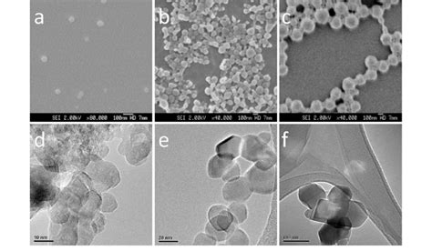Nanoparticles are an essential component in the emerging field of nanomedical imaging and therapy. SEM micrographs of three spherical PLGA nanoparticle samples with... | Download Scientific Diagram