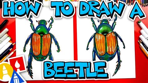 How To Draw A Japanese Beetle Youtube