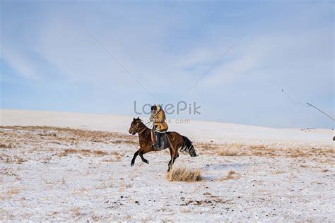 Winter Grassland Picture And Hd Photos Free Download On Lovepik