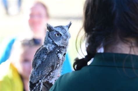 Woodlands Wildlife Refuge In Pittstown Held Its Annual Community Day